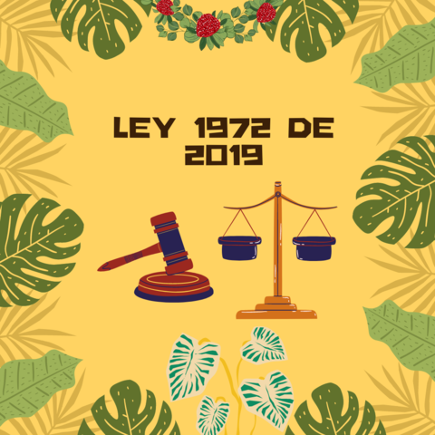 Ley 1972 de 2019