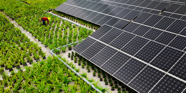 Energía libre de contaminantes