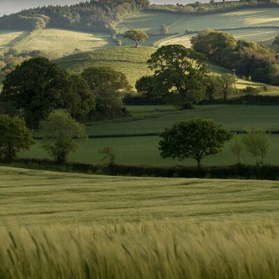 Timeline: История культуры. Зимовец Кристина