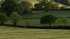 Timeline: История культуры. Зимовец Кристина