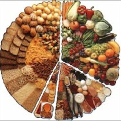 Timeline: Alimentación del Ser Humano