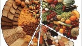Timeline: Alimentación del Ser Humano