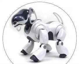 Aibo