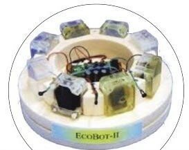 ECOBOT II