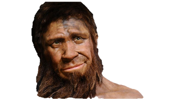 Mondelinge communicatie