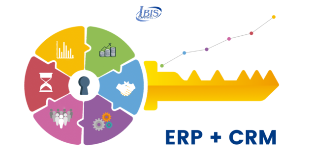 UTILIZACION DE SISTEMAS ERP Y CRM