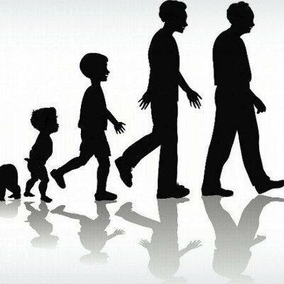 Timeline: Linea de vida