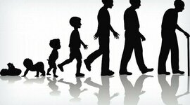 Timeline: Linea de vida