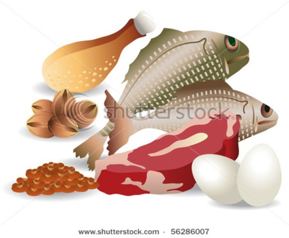 Fish Preservation