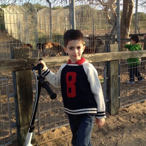 ."בגיל 5 הלכתי לגן חובה  שבבית-ספר "אמירים