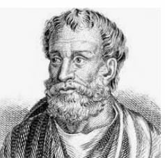 Clasificación de las plantas