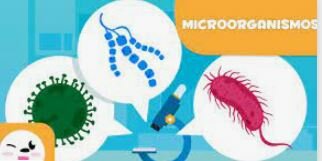 Microorganismos