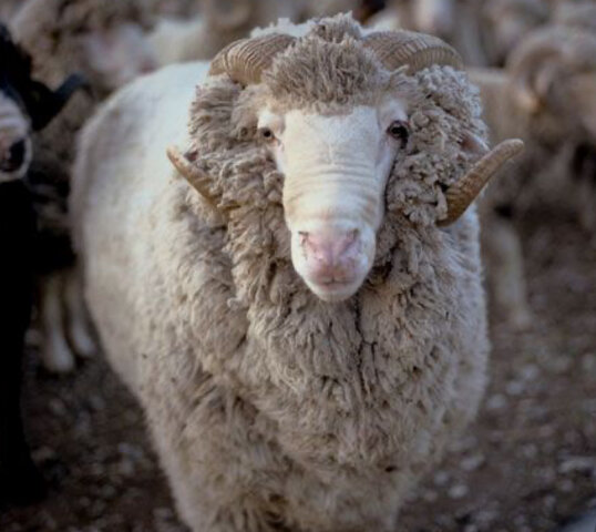 Europa (Baja Edad Media)