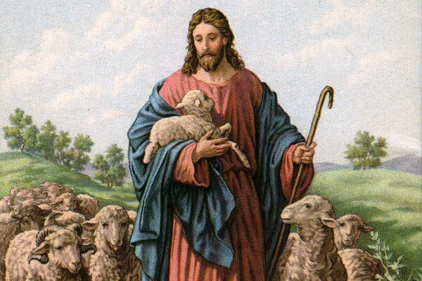 The lamb of God