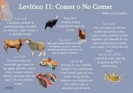 Consumo de animales