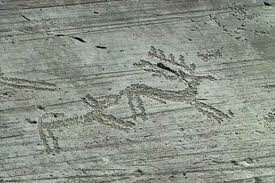 Graffiti di animali Valcamonica