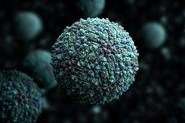 Inicios de la vida en la tierra, 3,5 millones de años