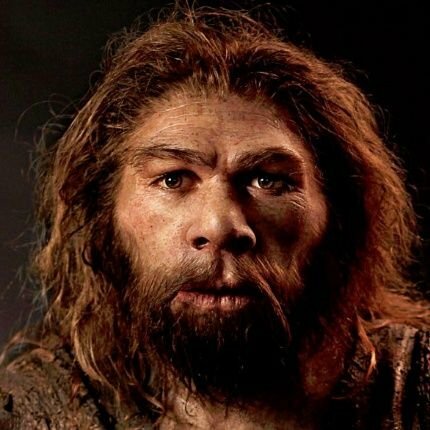Aparición del Homo sapiens, 2.5 millones de años