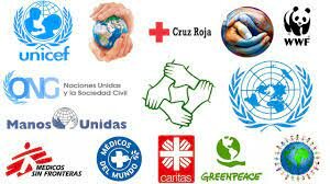Las ONG'S
