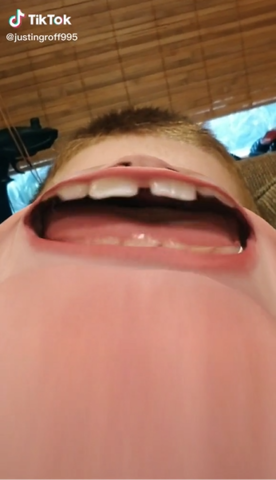 The Declaration of independence