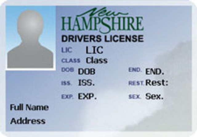 Recibí mi permiso de conducir