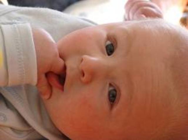 Meu primo nasceu nathalia