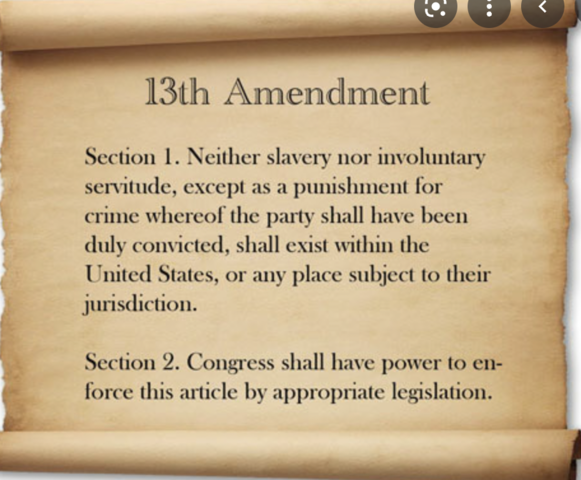 The 13th Amendment