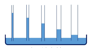 Ley de Jurin (Capilaridad)