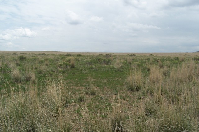 We've Made it to Wyoming!