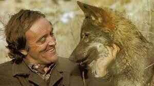 La muerte de Félix Rodríguez de la Fuente