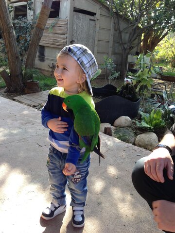 אני ומשפחה שלי היינו אצל חברים