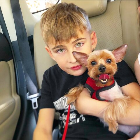 אני בן 10 עם הכלב שלי