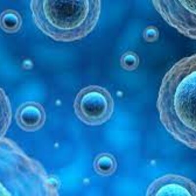 Timeline: Hitos importantes