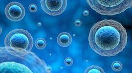 Timeline: Hitos importantes