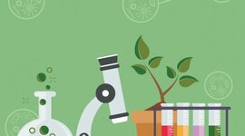 Timeline: AS REFORMAS CURRICULARES E O ENSINO DE CIÊNCIAS NO BRASIL.