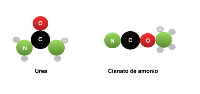 inicio de la bioquímica