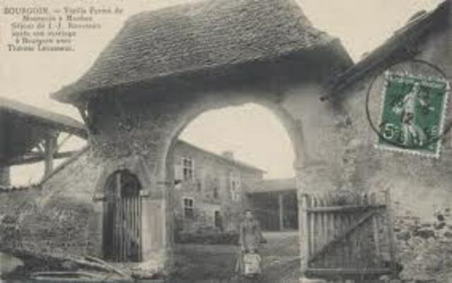 Se dedica a la botánica y a la música