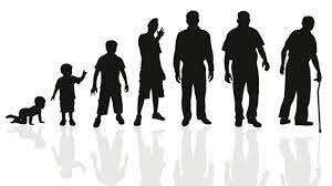 average age life span was 20 to 30 years