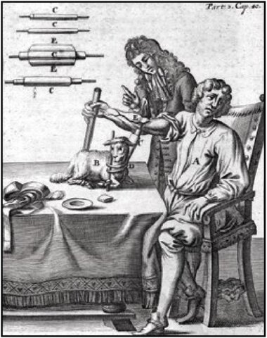 successful blood transfusion on animals