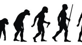 Timeline: Origen del hombre: Evolución.