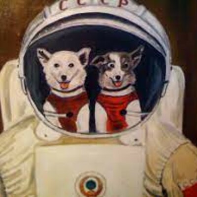 Timeline: Собаки в космосе