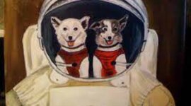 Timeline: Собаки в космосе