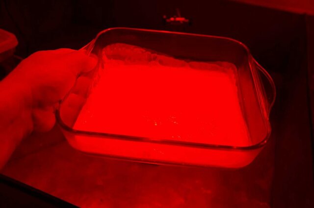 Planchas de gelatina