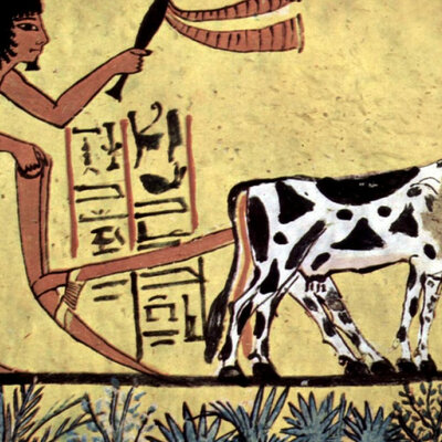 Timeline: LA PREISTORIA (LORENA)