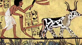 Timeline: maría:PEÑALOSA-