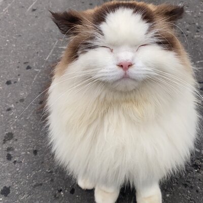 Timeline: 2. verdenskrig