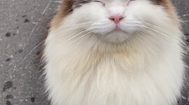 Timeline: 2. verdenskrig