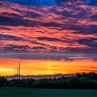 Timeline: Filmide ajalugu 1950-2000