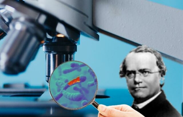 las leyes de la herencia.