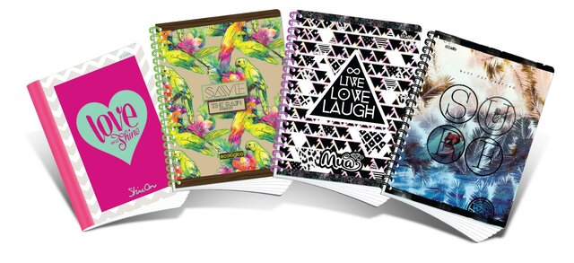 BEGINNINGS OF MY HIGH SCHOOL